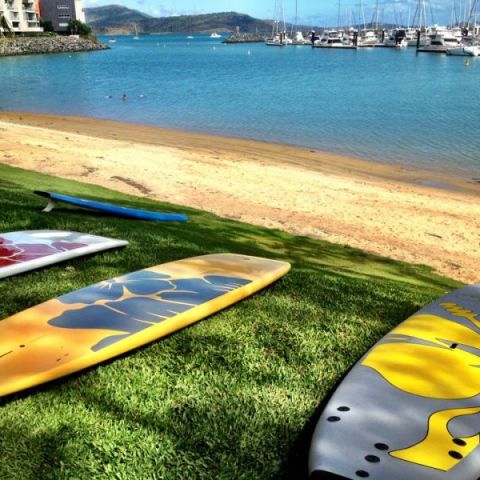 SUPs laid out on the beach in the Whitsundays