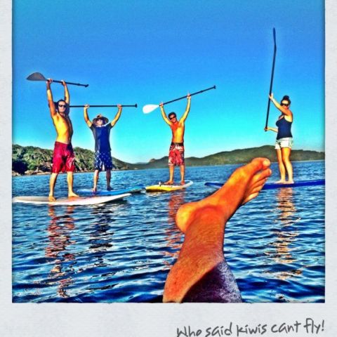 a group with Paddle's raised high on SUPs in the Whitsundays