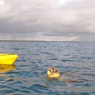 a girl in a body of water