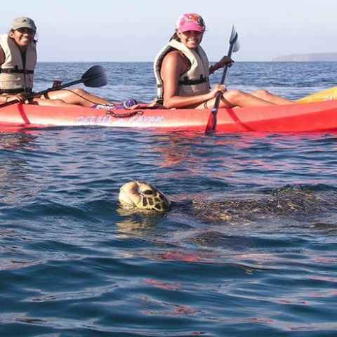 a group of people on a boat in the water